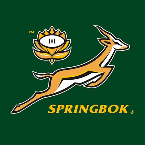 Download the vector logo of the springbok brand designed by in adobe® illustrator® format. Springboks - switch | brands with purpose