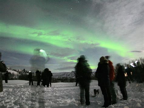 Reykjavik Excursions Northern Lights Tour All You Need To Know Before
