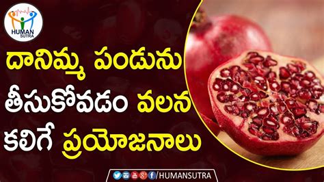 Health Benefits Of Pomegranate Health Tips In Telugu Human Sutra