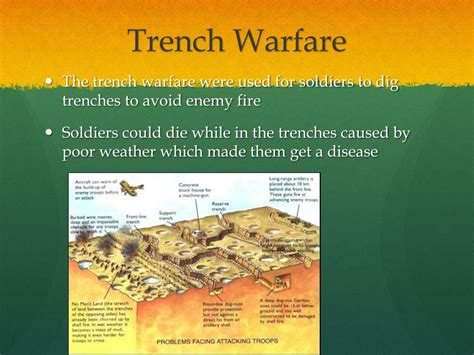 Ppt Trench Warfare Powerpoint Presentation Free Download Id2145025