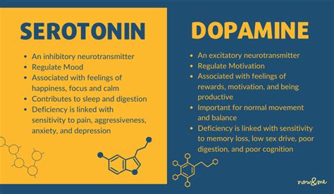 How To Increase Serotonin And Dopamine Naturally Brain And Hormones