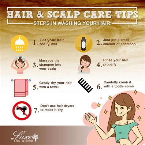 How To Clean Up Your Scalp Tips Faq And Hair Care Best Simple Hairstyles For Every Occasion