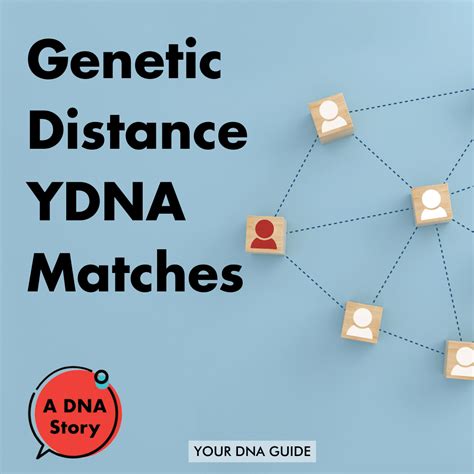 Genetic Distance Ydna Matches Your Dna Guide Diahan Southard