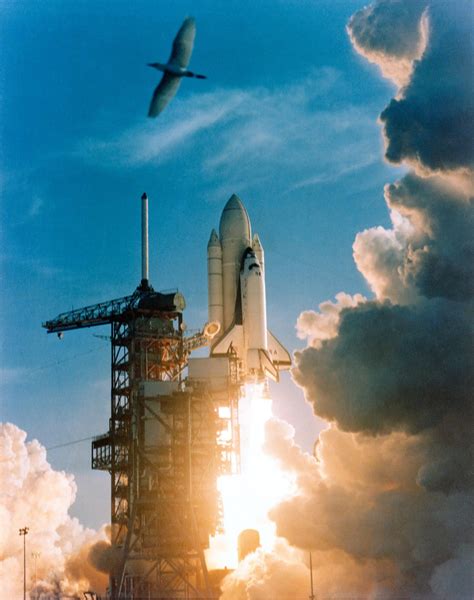 40th Anniversary Of First Space Shuttle Mission “something Just Short