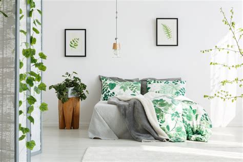 These Are The Best Plants For Bedrooms Southern Living