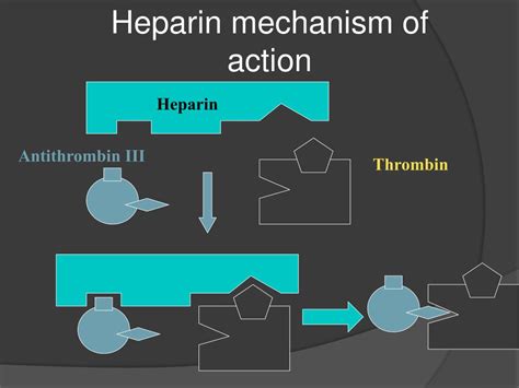 Heparin Mechanism Of Action Antithrombin Iii Normal Range Imagesee