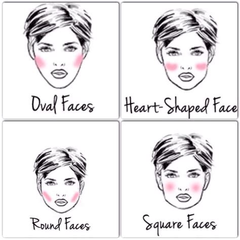 how to apply blush according to your face shape musely