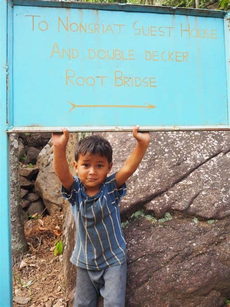 Double Decker Root Bridge An Important Step By Step Trekking Guide