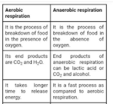 Three Difference Between Aerobic And Anaerobic Respiration Brainly In