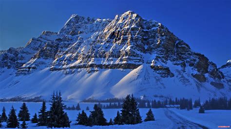 Snowy Mountains In Bow Lake Banff National Park Alberta Canada