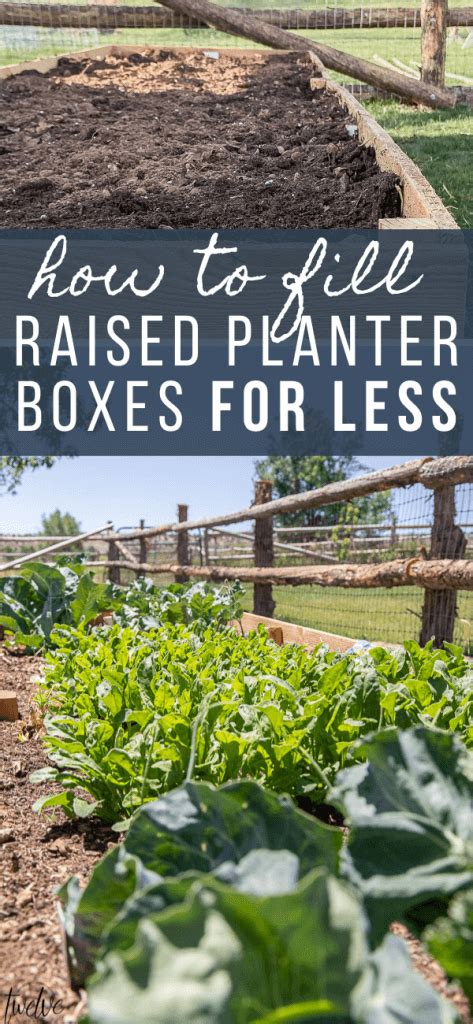 We did not find results for: How to Fill a Raised Garden Bed and Save on Soil - Twelve ...