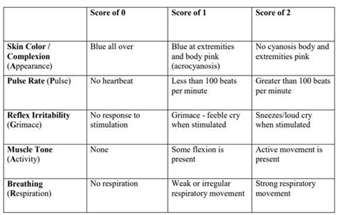 The Five Criteria Of The Apgar Score Are