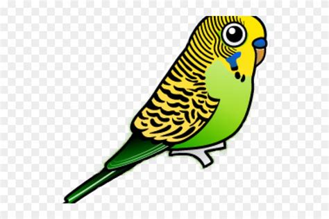 Free Budgie Cliparts Download Free Budgie Cliparts Png Images Free