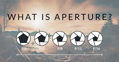The Complete Guide To Camera Aperture
