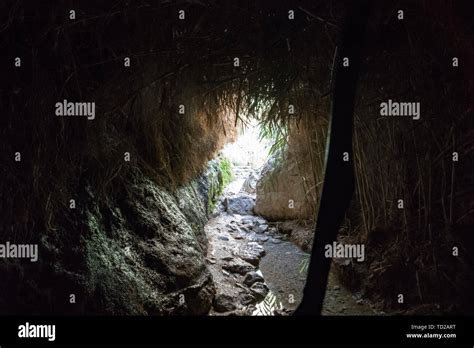 Inside The Gloomy Cave With Damp Stone Walls And Dry Grass Ceiling