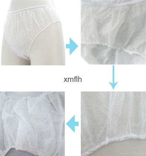 Hygienic Disposable Menstruation Panties For Women Flh 07 03 Bsoft