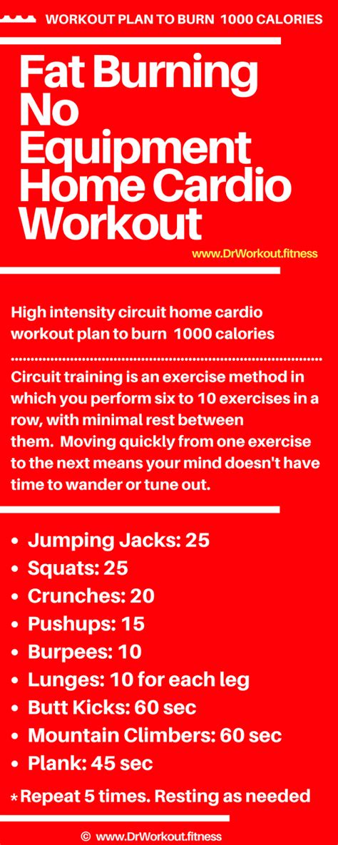 If you're on this page, it's because you're either on the keto diet or but you want to attack your weight loss from every angle, of course. Fat Burning No Equipment Home Cardio Workout