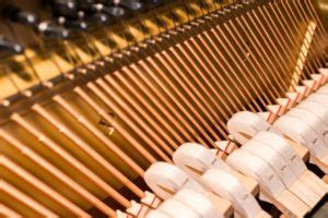 Schallerzeugung bei Musikinstrumenten