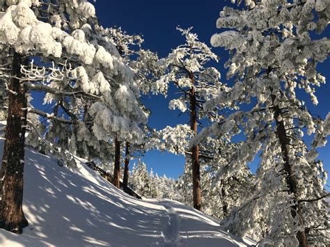 Instant booking on south lake tahoe cabin vacation rentals. Visit South Lake Tahoe for President's Day Weekend ...