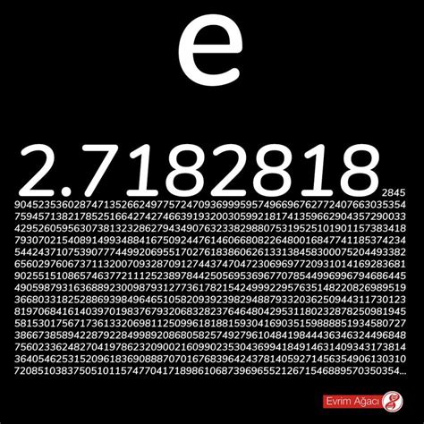 Euler Sayısı Nedir e Sayısı Ne Anlama Gelir ve Ne İşe Yarar Evrim