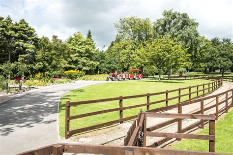 Craigtoun Country Park And Balgove Steak Barn St Andrews