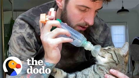 Cat With Asthma Has The Most Caring Dad