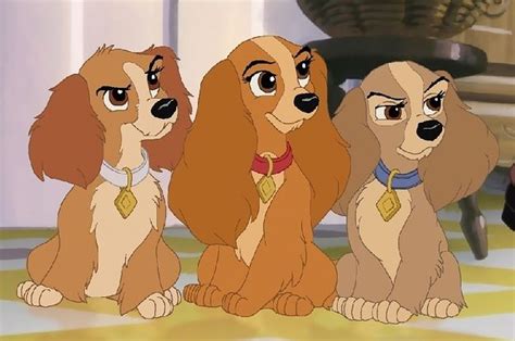 What Are The Dogs Names In Lady And The Tramp Pets Lovers