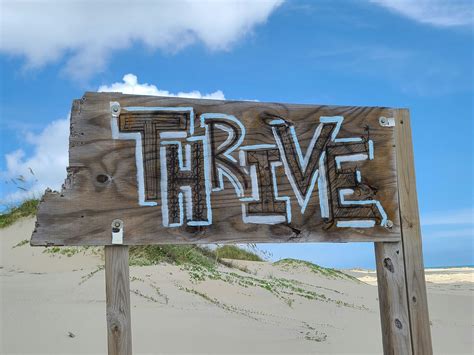 Building Resilience in Times of Adversity: Strategies for Overcoming