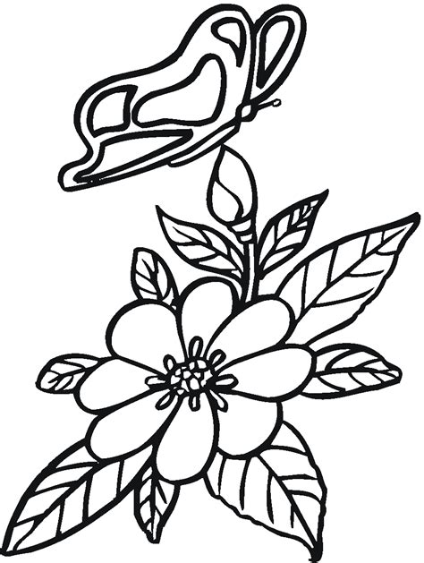 Check spelling or type a new query. Mariposas para colorear, pintar e imprimir