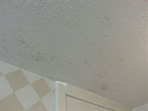 Black mold or stachybotrys chartarum is usually accompanied by a distinctive odor and is it spreads fast, burrowing into walls and ceilings and hiding in cupboards and under carpets. BLACK MOLD on the ceiling. Health & Safety Inspection is ...