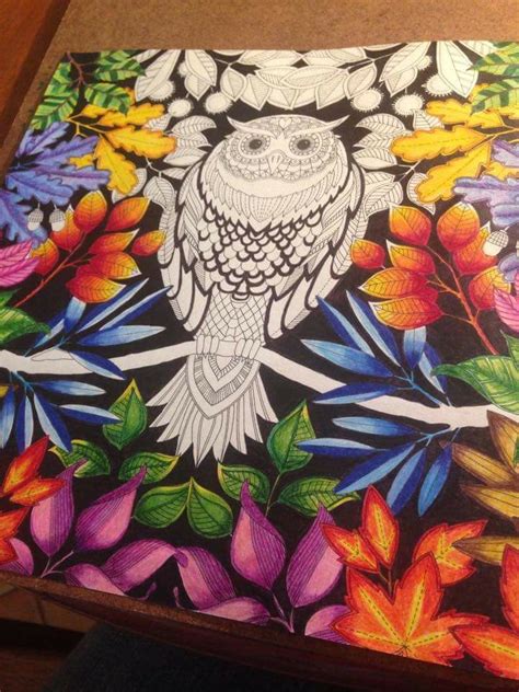 Johanna basford secret garden coloring book for adults inhabitots. Owl Secret Garden. Coruja Jardim Secreto. Johanna Basford ...