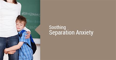 How To Sooth Separation Anxiety Diamond Personnel