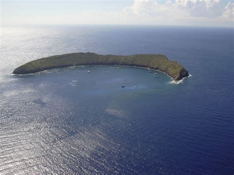 Snorkelling The Molokini Crater Maui Kicked Cancer And Living Life Has