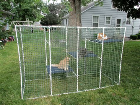 They now have tunnels with a plexiglass roof and a large enclosure with climbing posts. PVC Cat Enclosure - petdiys.com