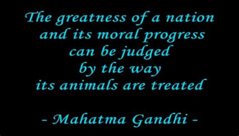 The Greatness Of A Nation And Its Moral Progress Can Be Judged By The