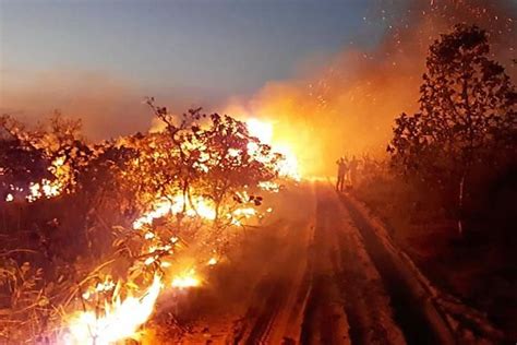 In der türkei sind rettungskräfte mit hubschraubern im einsatz, um die feuer zu löschen. Amazonas-Regenwald: Waldbrände - Diese Karten zeigen, wie ...