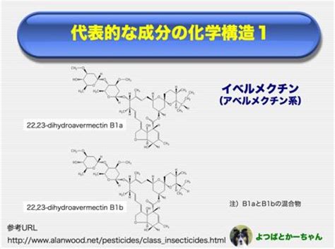 We did not find results for: イベルメクチン中毒について（補足） - よつばとかーちゃん