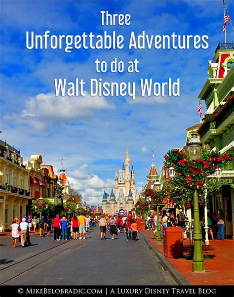 Three Unforgettable Insider Adventures At Walt Disney World