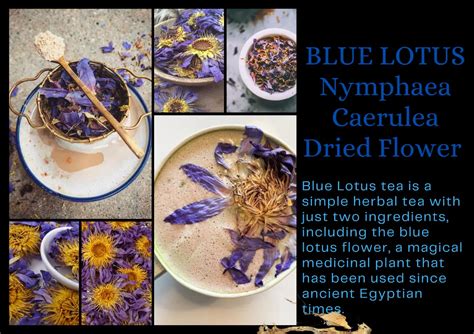 blue lotus flower tea recipe best flower site