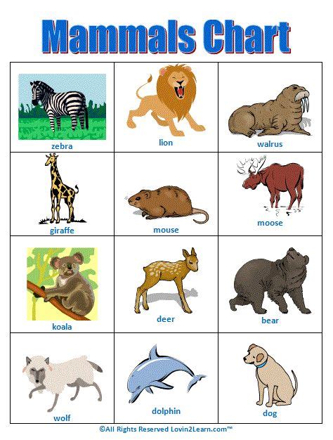 Below you'll discover the complete list of animal names our researchers have written about so far. Mammals Chart www.loving2learn.com | Teaching Science ...