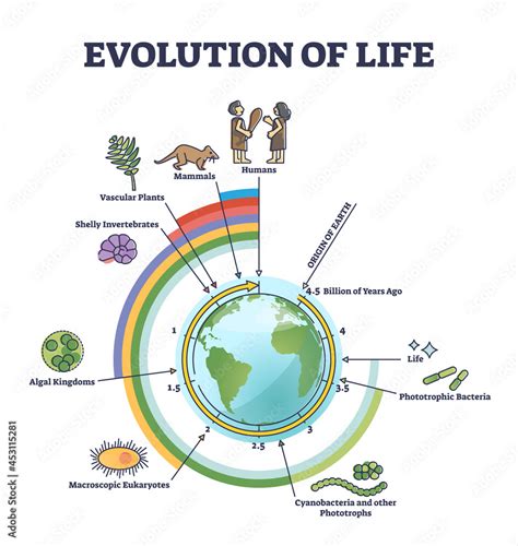 Vecteur Stock Evolution Of Life With Round Timeline For Living