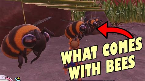 Grounded Updates What Do Bees Make How Much Better Is The Bee Gear In Grounded Where Are Bees