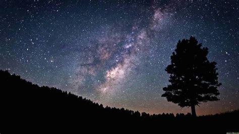 Galaxy Wallpaper Forest Landscape And Tree With Sky Full Of Stars In