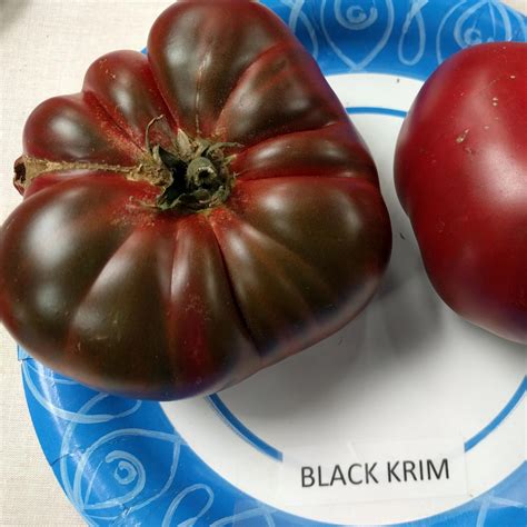 Slicing Tomato Seeds Black Krim Sow True Seed