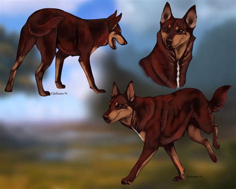 Has been added to your cart. Dog Canine | Dog art, Anime animals, Anime wolf