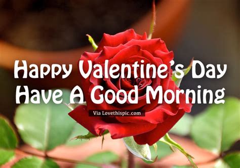 Happy Valentines Day Have A Good Morning Pictures Photos And Images