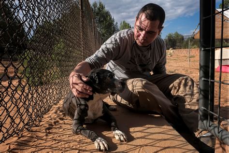 How Michael Vicks Dogfighting Case Changed Animal Welfare Washington