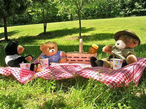 Plan The Perfect Teddy Bears Picnic Birthday Party Wicked Uncle Blog