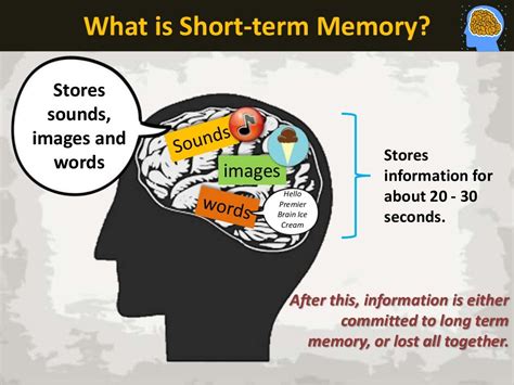 Short Term Memory Characteristics The 3
