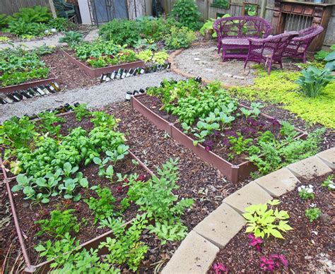 Sweet nugget (organic*) in the kitchen: How To Plant A Full Shade Raised Vegetable Garden Bed-Year ...
